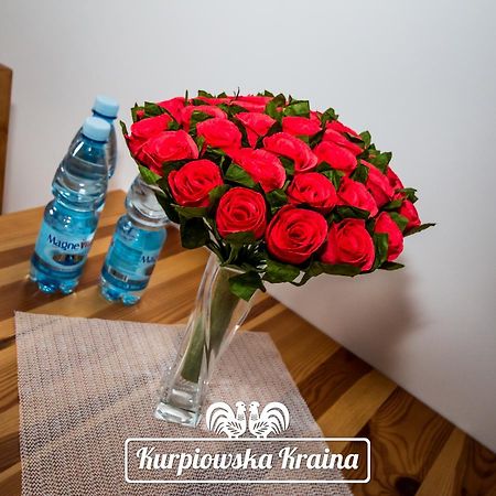 Hotel Kurpiowska Kraina à Wydmusy Extérieur photo